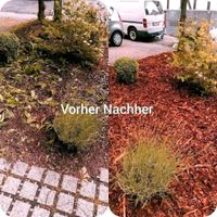 Gartenarbeit, Gartenhilfe, Gartengestaltung, heckenschnitt Hessen - Söhrewald Vorschau