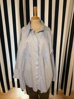 Massimo Dutti Bluse hellblau Gr. XL/40/42/44 OVERSIZE Bayern - Bad Abbach Vorschau