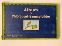 Album Chlorodont-Sammelbilder Ausgabe 3 Heimische Vögel,120 Bild Frankfurt am Main - Westend Vorschau