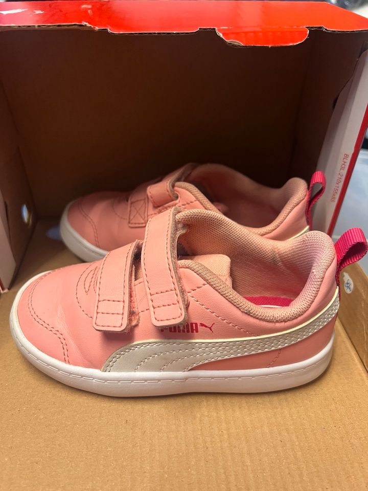 Puma Turnschuhe Sneaker rosa 24 Top! in Ilshofen