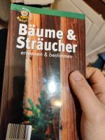 Bäume und Sträucher erkennen Wegweiser Mecklenburg-Vorpommern - Neubrandenburg Vorschau