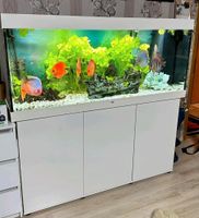 Aquarium Juwel 450L zum verkaufen!! Bayern - Wirsberg Vorschau