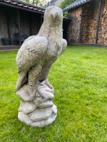 Steinfigur Gartenfigur Greifvogel Habicht Nordrhein-Westfalen - Drensteinfurt Vorschau