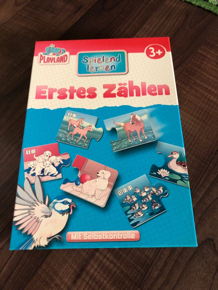 6 tlg. Lernspielzeug Puzzle Uhrzeit lernen ab 4 Jahre NEU! in Marktrodach