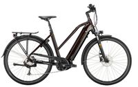 Victoria E-Trekking 12.8, Größe 48 cm , 2022, neu Hessen - Gießen Vorschau