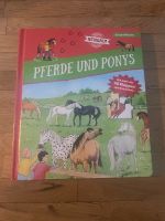 Buch mit 40 Klappen: Pferde und Ponys - KinderWissen Baden-Württemberg - Sindelfingen Vorschau