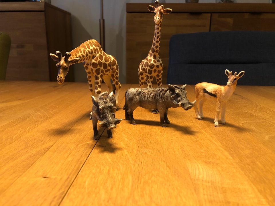 Schleich Afrikatiere Afrika Spielfiguren Elefant Nashorn Löwen in Essen