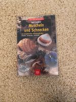 Muscheln und Schnecken Buch Schleswig-Holstein - Hardebek Vorschau