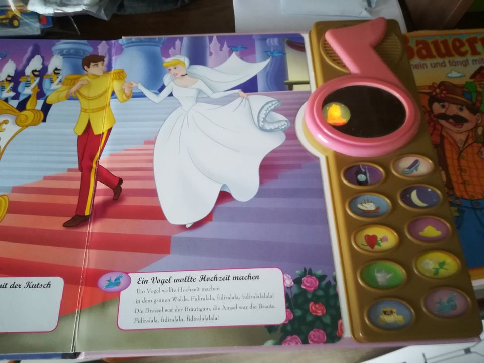 Disney Zauberhafte Liederreise Buch mit Musik in Obertaufkirchen