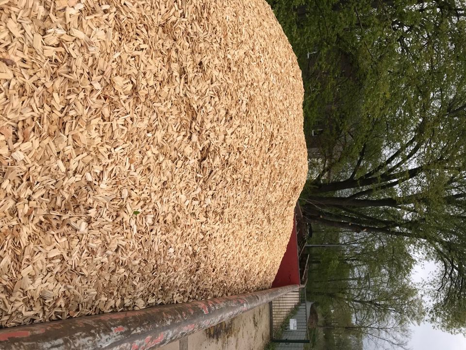 Hackschnitzel Rindenmulch Paddock Reitplatz Reithalle Spielplatz in Giesen