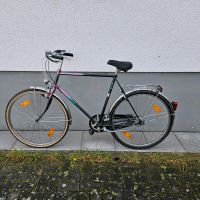 Enik Vintage Herrenrad 28 Zoll Rheinland-Pfalz - Bingen Vorschau