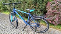 Fahrrad Trekkingrad Raleigh Funmax ATB 26 Zoll 21-Gänge Kr. München - Sauerlach Vorschau