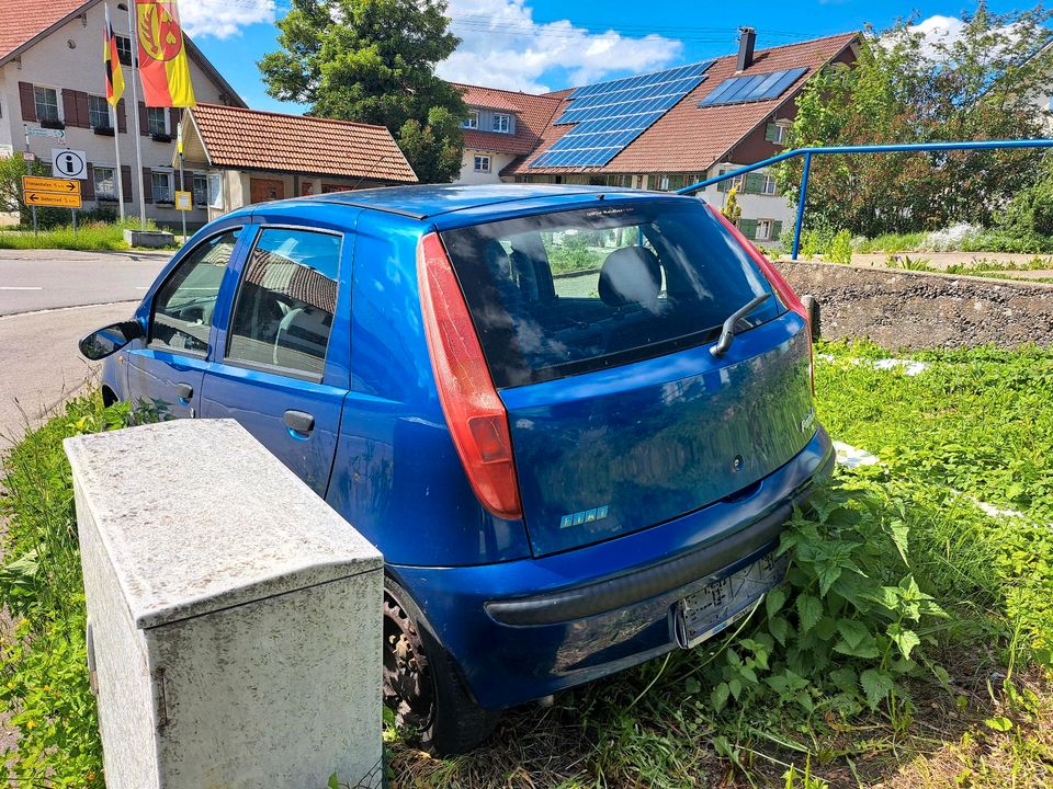 Fiat Punto 1.2 L in Isny im Allgäu