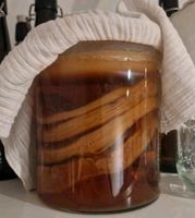 Kombucha Scoby München - Hadern Vorschau