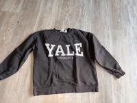 Pulli H&M Gr.xs Yale Niedersachsen - Vordorf Vorschau