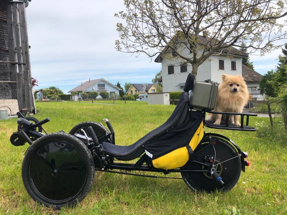 Liegerad , Trike , Steintrike Mungo Sport mit Motor, Liegetrike in Wittislingen