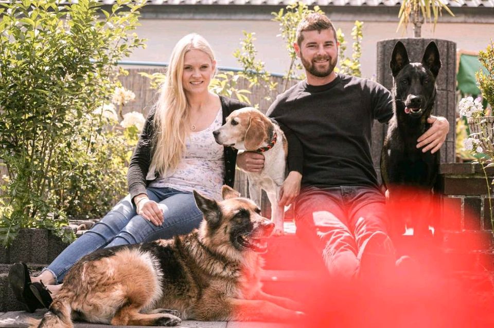 Hundebetreuung im familiären Umfeld/ Hundepension in Rethemer