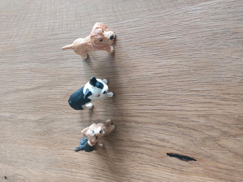 Schleich Hunde in Dortmund