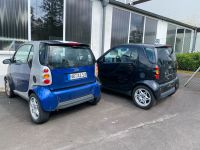 zwei smart bj 1998 Rheinland-Pfalz - Neustadt (Wied) Vorschau