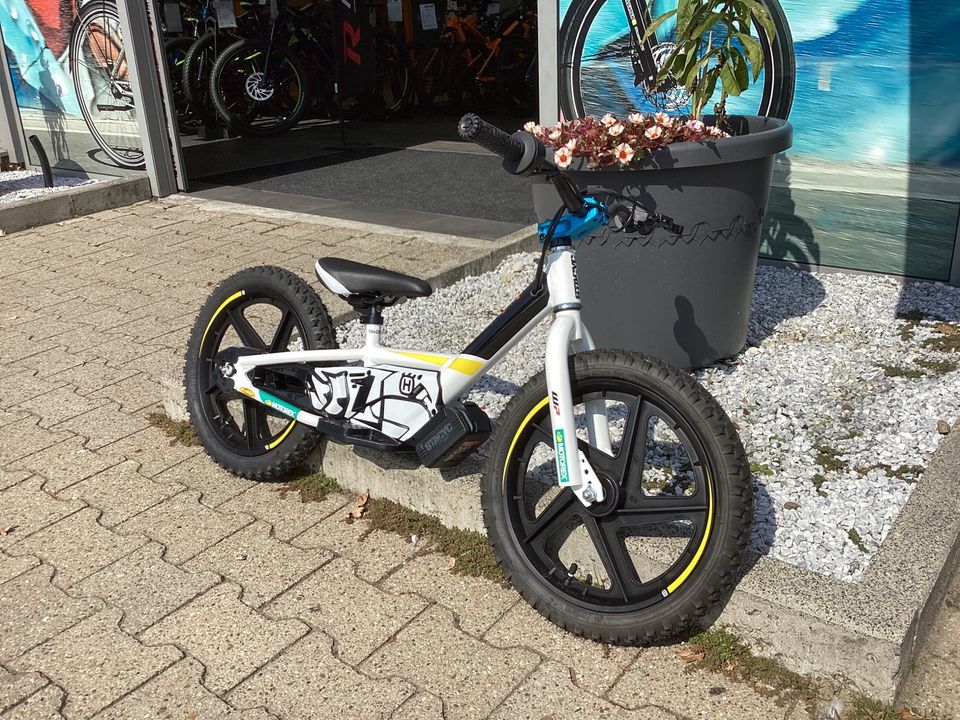 Electric Balance Bikes 16eDrive in Nordhorn