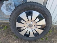 Audi Winterreifen 16" gutes Profil 205/55R16 Niedersachsen - Bückeburg Vorschau