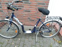 Damenfahrrad Ludwigslust - Landkreis - Warsow Vorschau