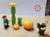 Lego kompatible Kakteen, Blumen und Kürbisse Bayern - Strullendorf Vorschau