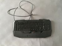 Roccat Gaming Tastatur Berlin - Karlshorst Vorschau