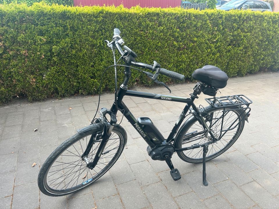 E-Bike Pegasus Herren in Steinfurt