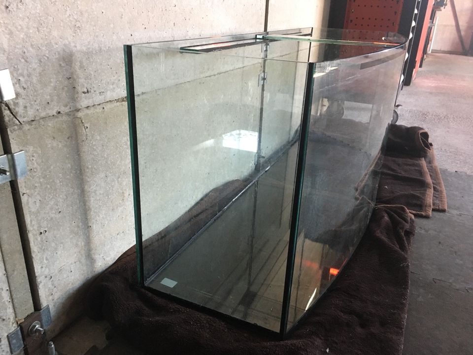 Terrarium Panorama Scheibe 450L ( 50€) in Marsberg