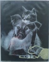 H. Villieres - Druck - Bild - Poster - Hund und Katze mit Wolle Niedersachsen - Zeven Vorschau
