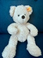 Steiff Lotte Teddybär 111310 Sachsen - Radeberg Vorschau