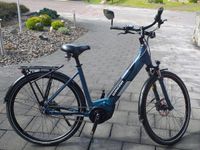 Winora Yucatan IN7 Elektro Fahrrad Ebike Rheinland-Pfalz - Morbach Vorschau