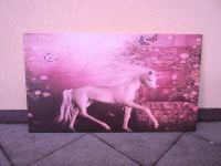 Märchen/Schmetterling/ Mädchen Einhorn Bild rosa 1 m x 60cm Bayern - Immenreuth Vorschau