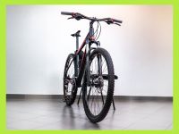 Kreidler MTB Fahrrad | 29er | Guter Zustand | Herren | rot Nordrhein-Westfalen - Reichshof Vorschau