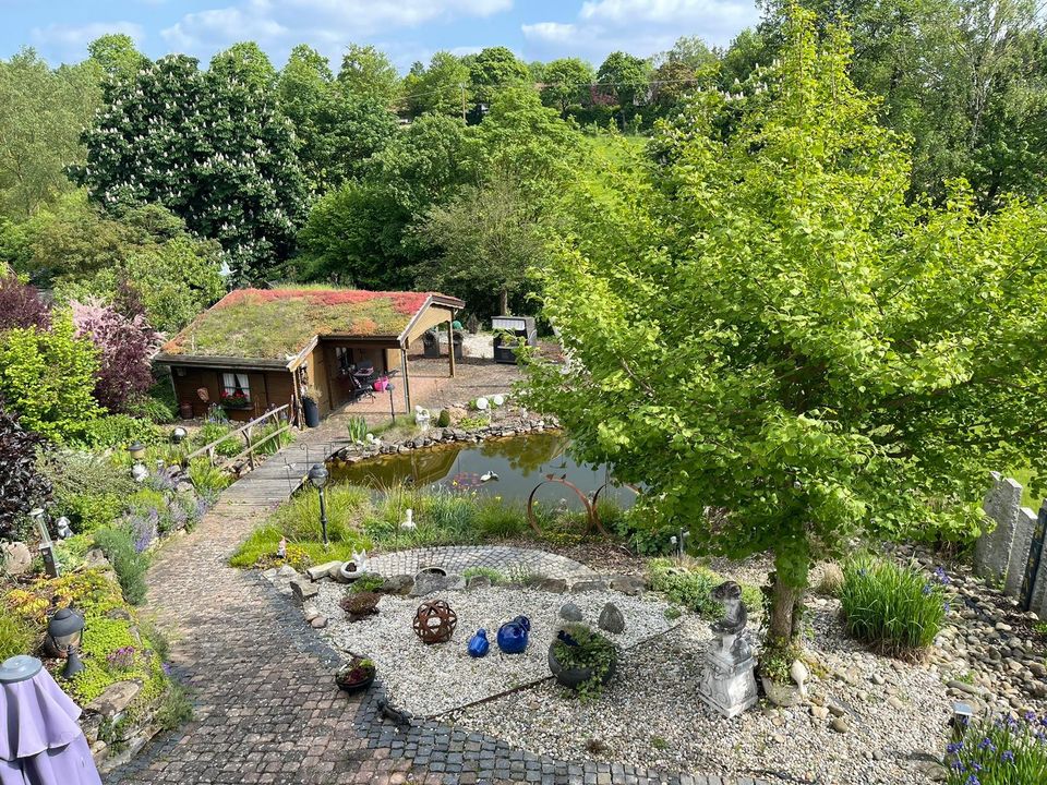 Gartenarbeit Gartengestaltung Renovierungsarbeiten in Warburg