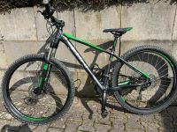 Cube Mountainbike Baden-Württemberg - Neckartenzlingen Vorschau