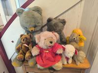 DDR Teddys, Bären, Berliner Bär, Hunde, Schnatterinchen, Schaf Sachsen - Königsbrück Vorschau