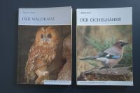 Waldkauz - Eulen - Brehm Bücherei Ornithologie Vögel Häher Mecklenburg-Vorpommern - Greifswald Vorschau