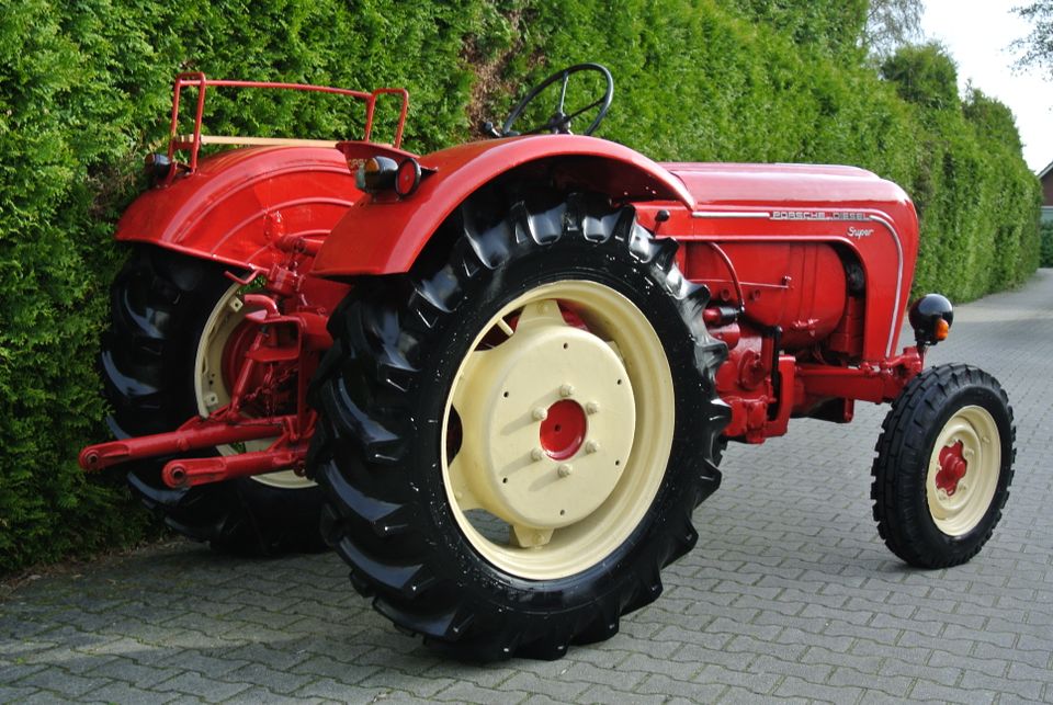 Porsche Diesel Super 308N Guter Zustand Traktor Oldtimer in Uelsen