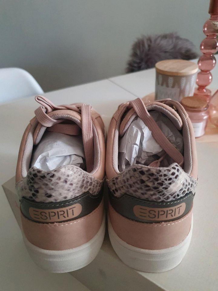 Sneaker Esprit 38 in Düren