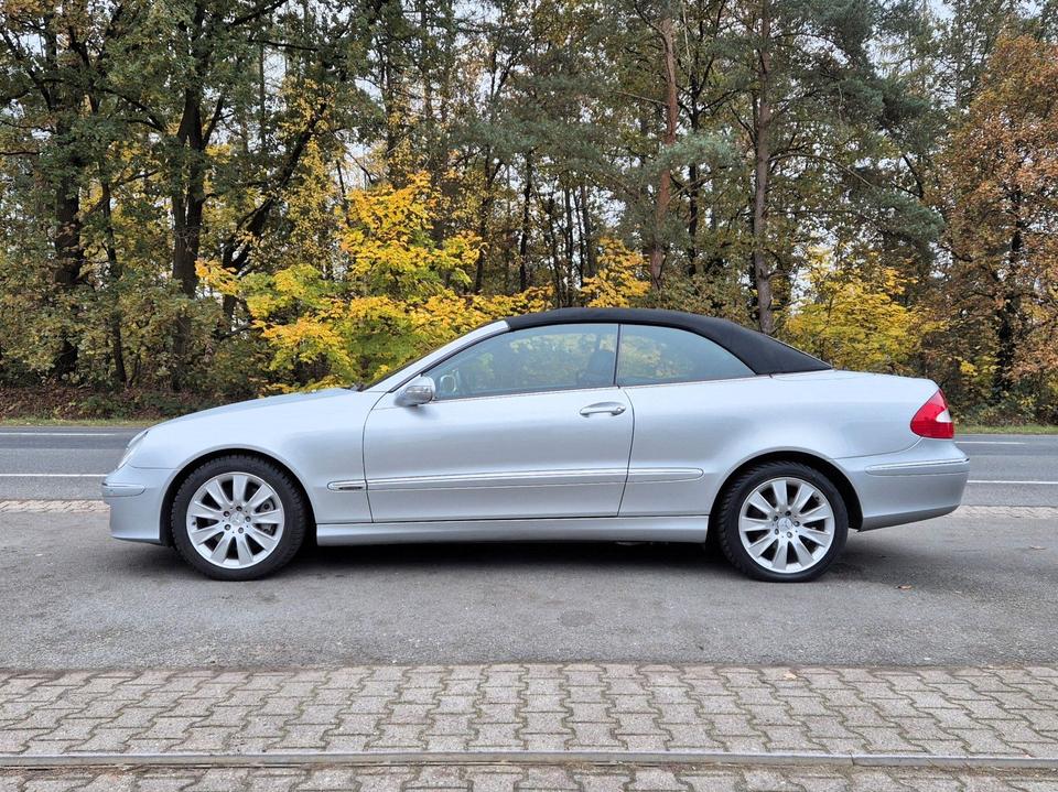 Mercedes-Benz CLK 320 CDI Cabrio Elengance |Leder|Sitzhzg|SHG| in Winsen (Luhe)