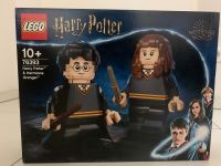 Lego 76393 Harry Potter und Hermine Neu & OVP Hessen - Groß-Zimmern Vorschau