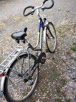 Damenfahrrad Sachsen - Neuensalz Vorschau