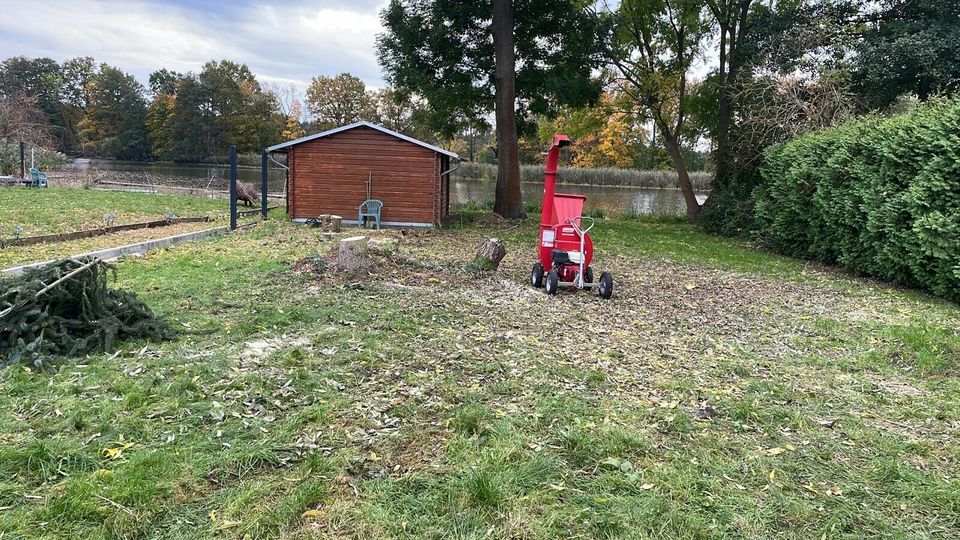 Hecke /Wurzeln entfernen/roden und entsorgen in Genthin