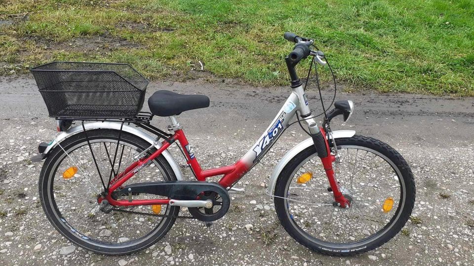 Mädchen Fahrrad 24zoll 7gang Nexus mit Rücktrittbremse in München