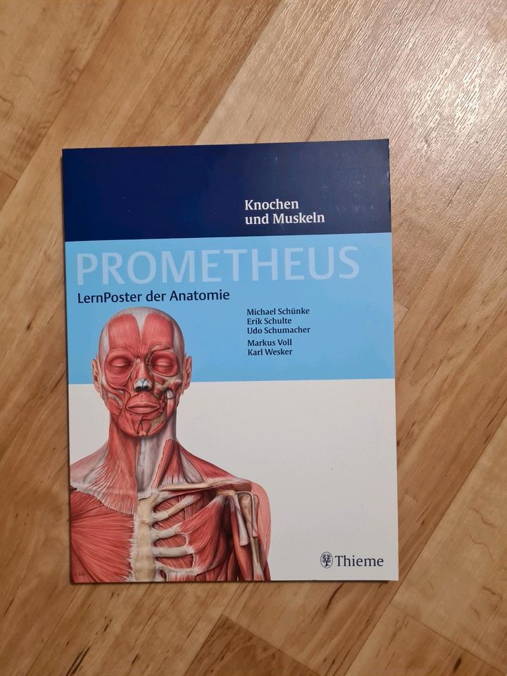 Prometheus Lernposter der Anatomie, Knochen und Muskeln, Medizin in Greifswald