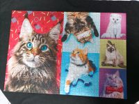 Puzzle 1000 Teile Katzen Dresden - Neustadt Vorschau