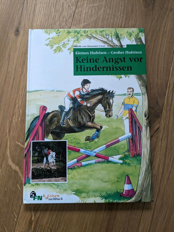 Pferdebuch/Fachbuch Springreiten für junge Einsteiger in Frickenhausen