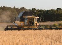 Nachwuchs-Pflanzenbauleiter / Volontärverwalter / Landwirt 1200ha Brandenburg - Fürstenwalde (Spree) Vorschau